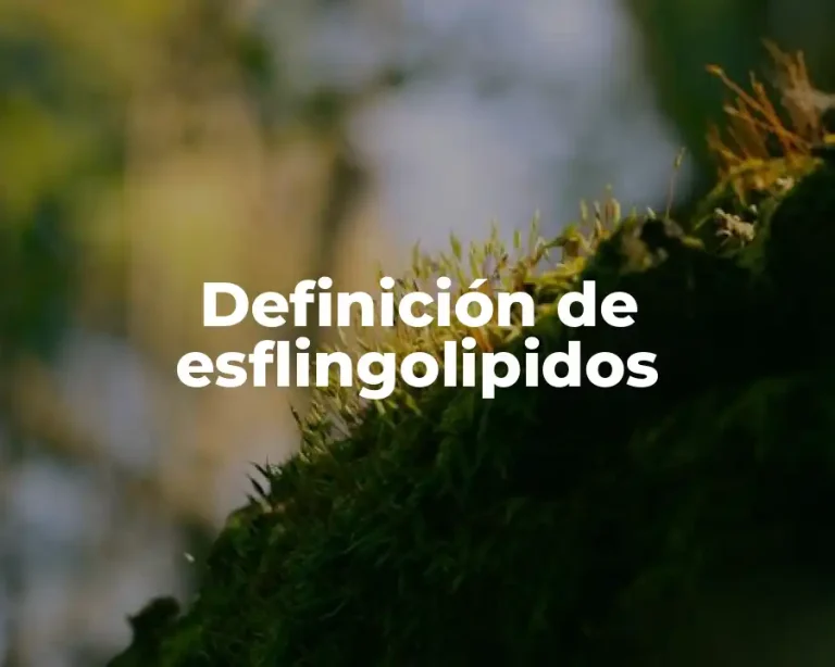 Definición de esflingolipidos