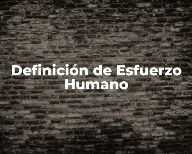 Definición de Esfuerzo Humano