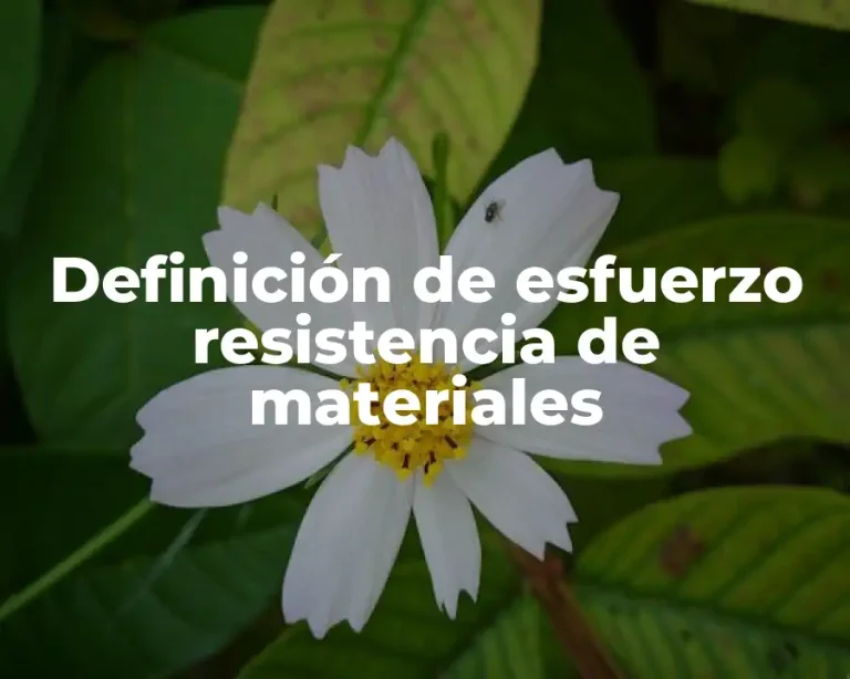 Definición de esfuerzo resistencia de materiales
