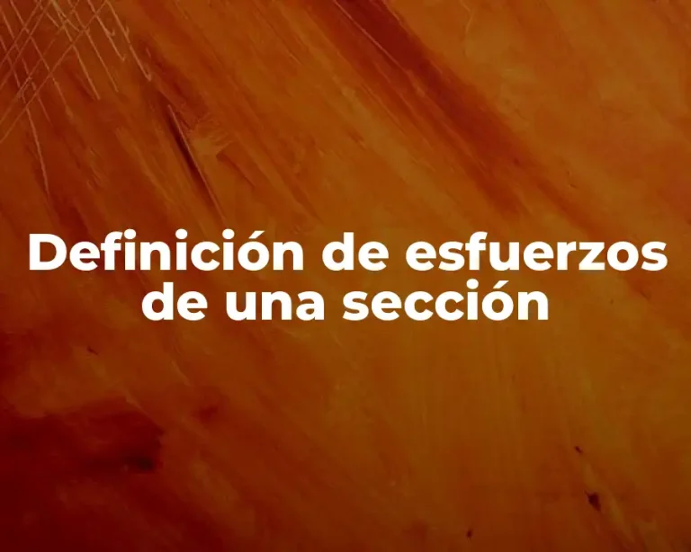 Definición de esfuerzos de una sección