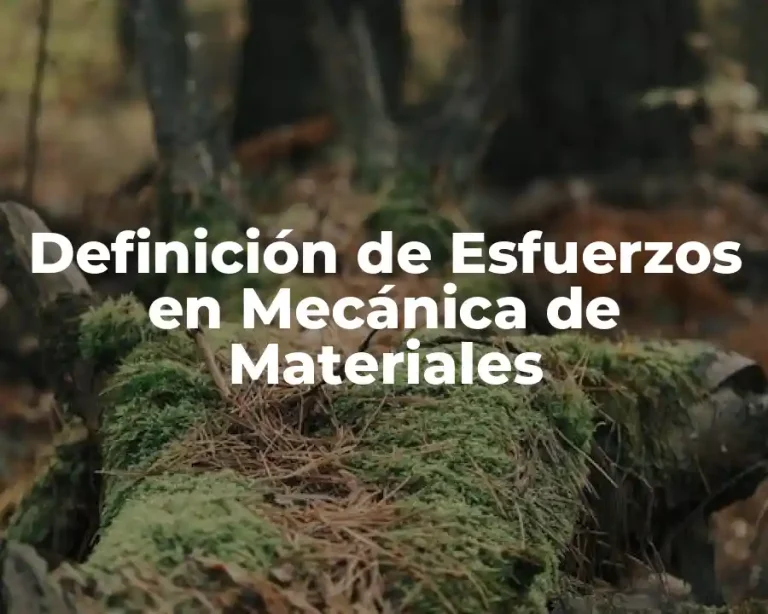 Definición de Esfuerzos en Mecánica de Materiales