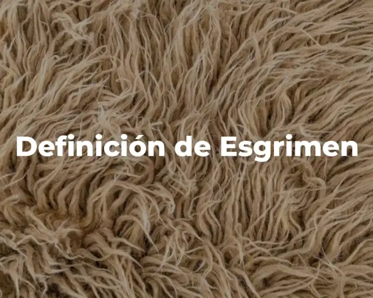 Definición de Esgrimen