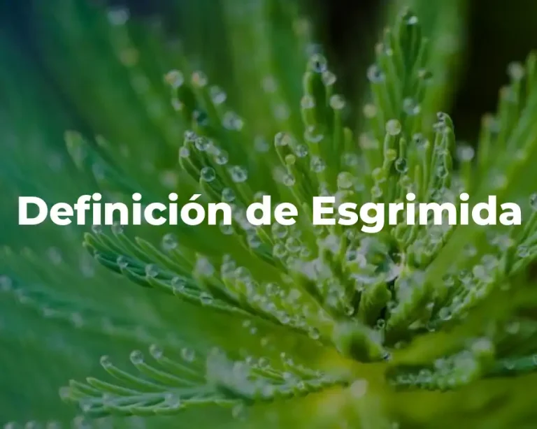 Definición de Esgrimida