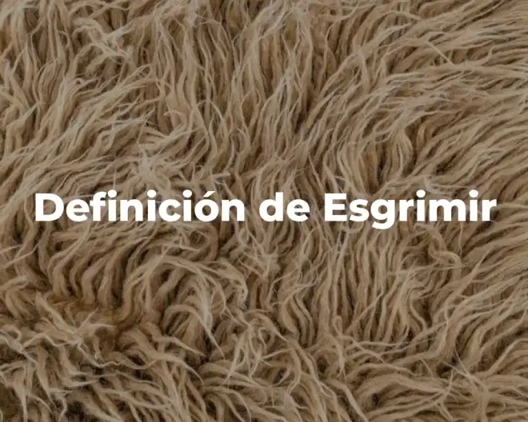 Definición de Esgrimir