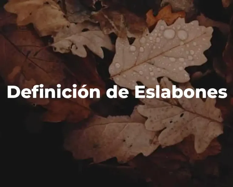 Definición de Eslabones