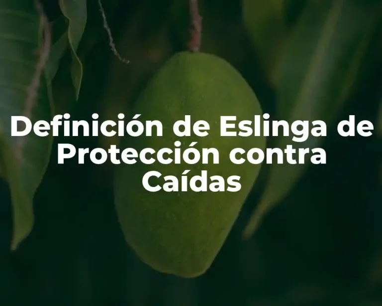 Definición de Eslinga de Protección contra Caídas