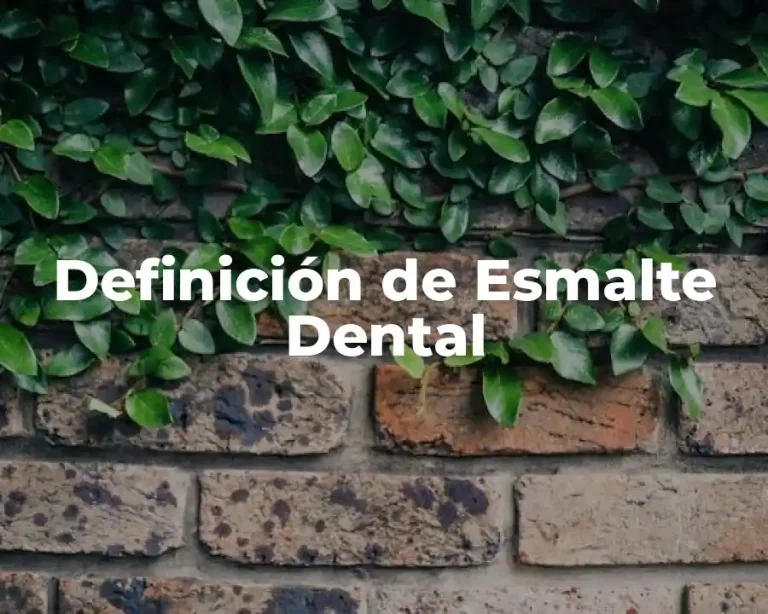 Definición de Esmalte Dental