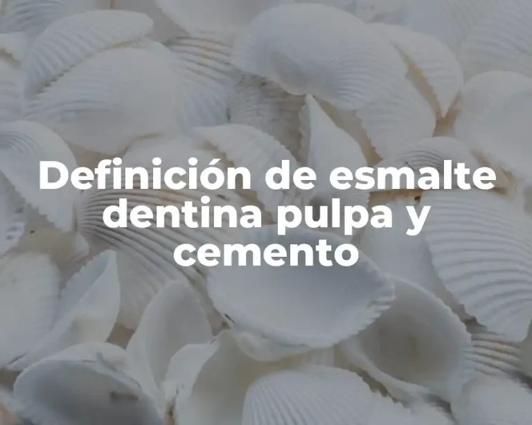 Definición de esmalte dentina pulpa y cemento