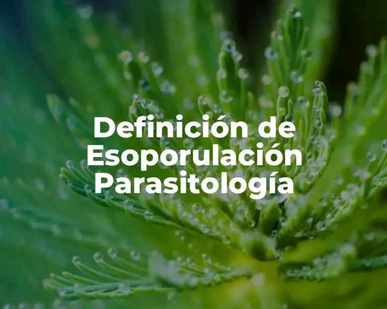 Definición de Esoporulación Parasitología