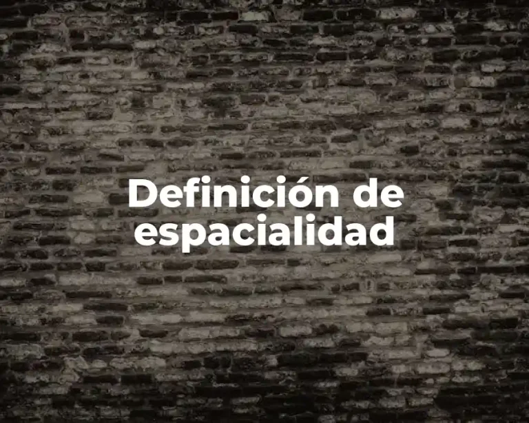 Definición de espacialidad