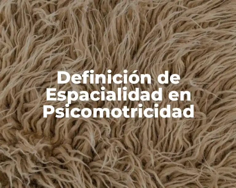 Definición de Espacialidad en Psicomotricidad