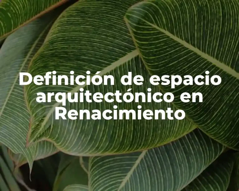 Definición de espacio arquitectónico en Renacimiento