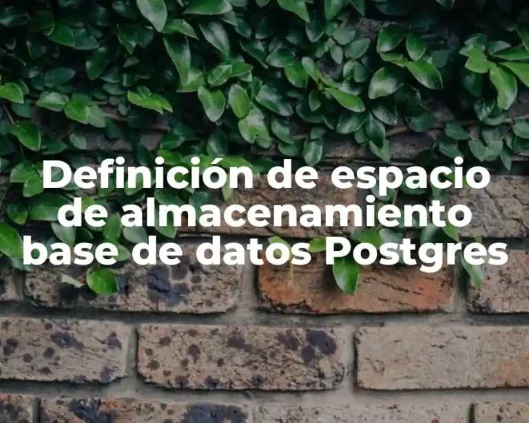 Definición de espacio de almacenamiento base de datos Postgres