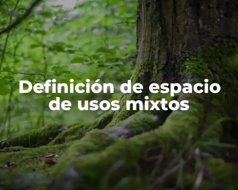 Definición de espacio de usos mixtos