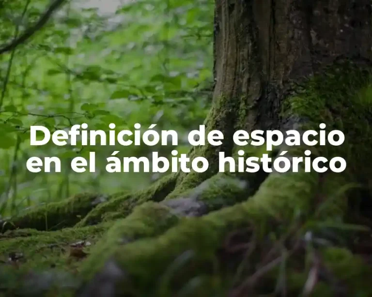 Definición de espacio en el ámbito histórico