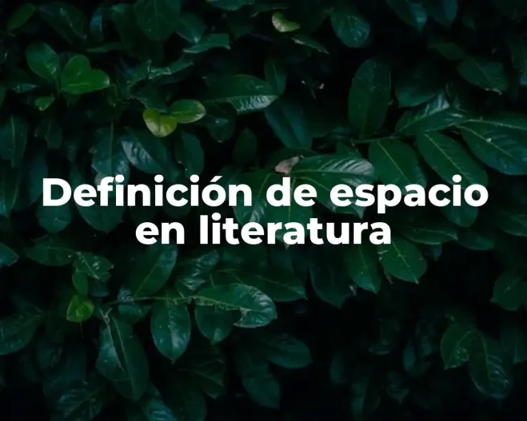 Definición de espacio en literatura