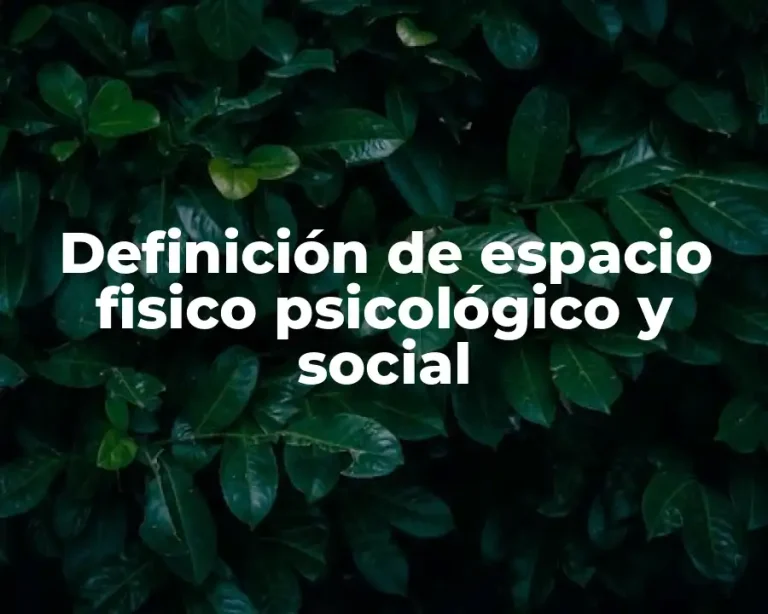 Definición de espacio fisico psicológico y social