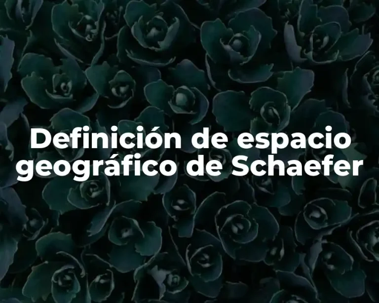 Definición de espacio geográfico de Schaefer