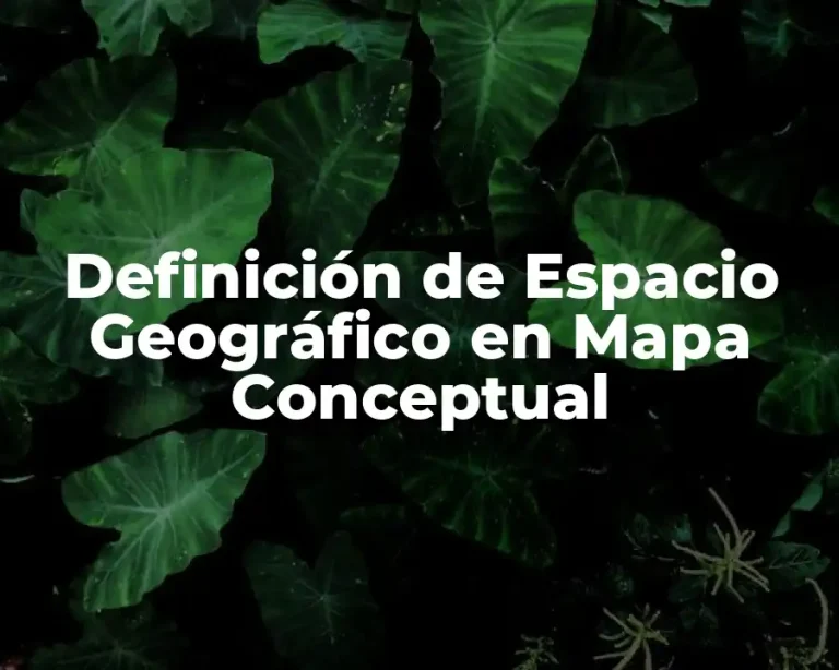 Definición de Espacio Geográfico en Mapa Conceptual