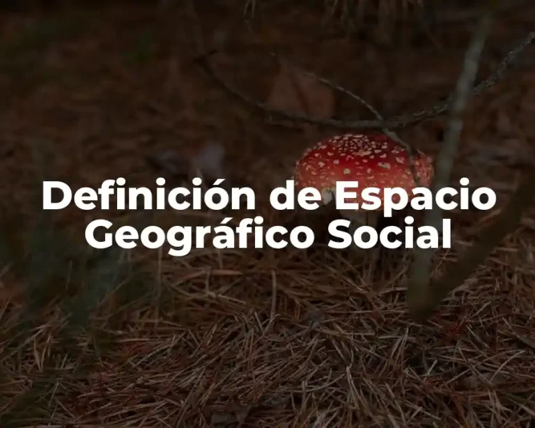 Definición de Espacio Geográfico Social