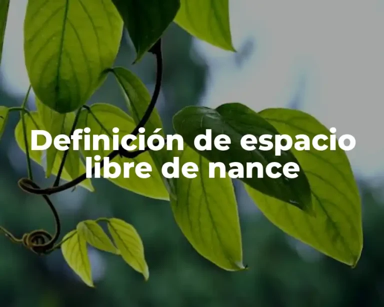 Definición de espacio libre de nance