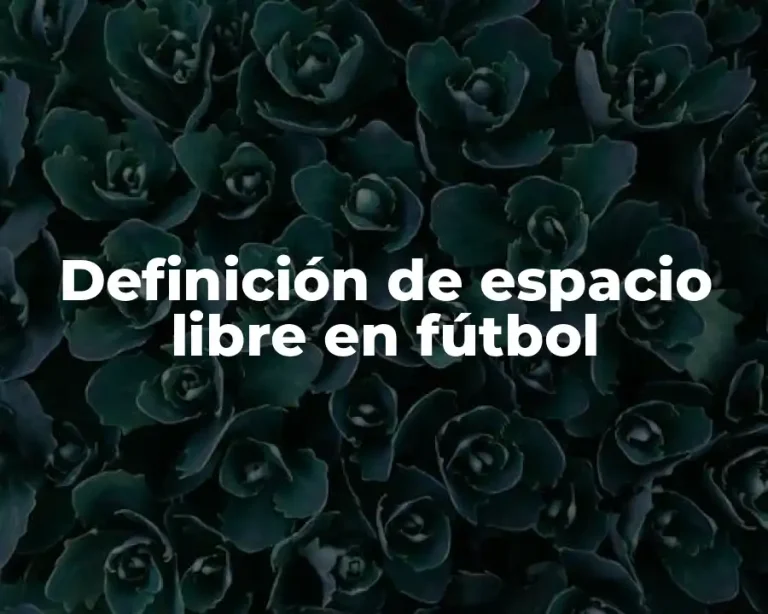 Definición de espacio libre en fútbol