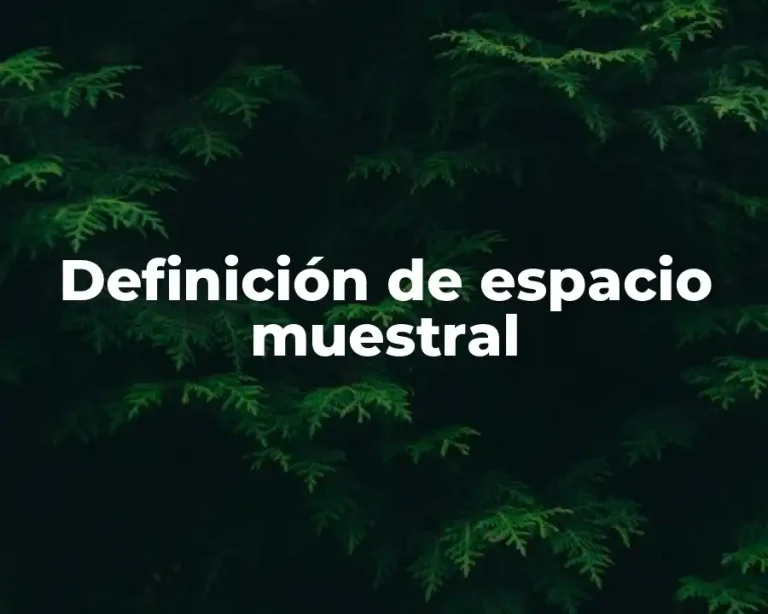 Definición de espacio muestral
