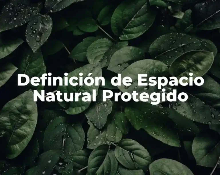 Definición de Espacio Natural Protegido