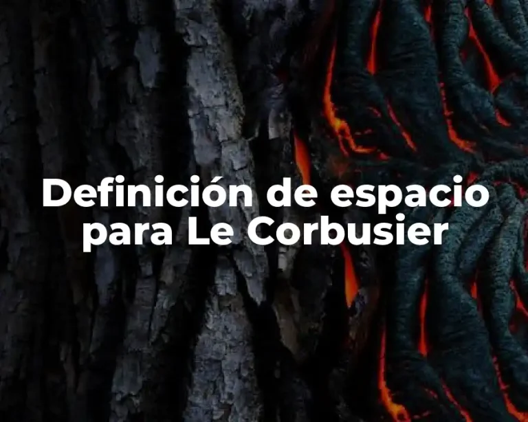 Definición de espacio para Le Corbusier