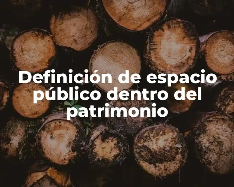 Definición de espacio público dentro del patrimonio