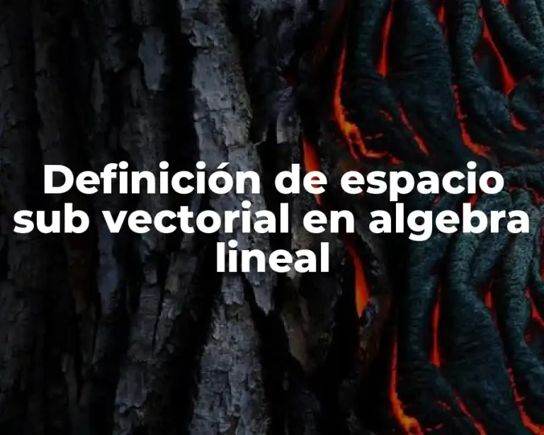 Definición de espacio sub vectorial en algebra lineal