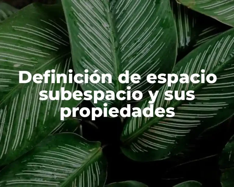 Definición de espacio subespacio y sus propiedades