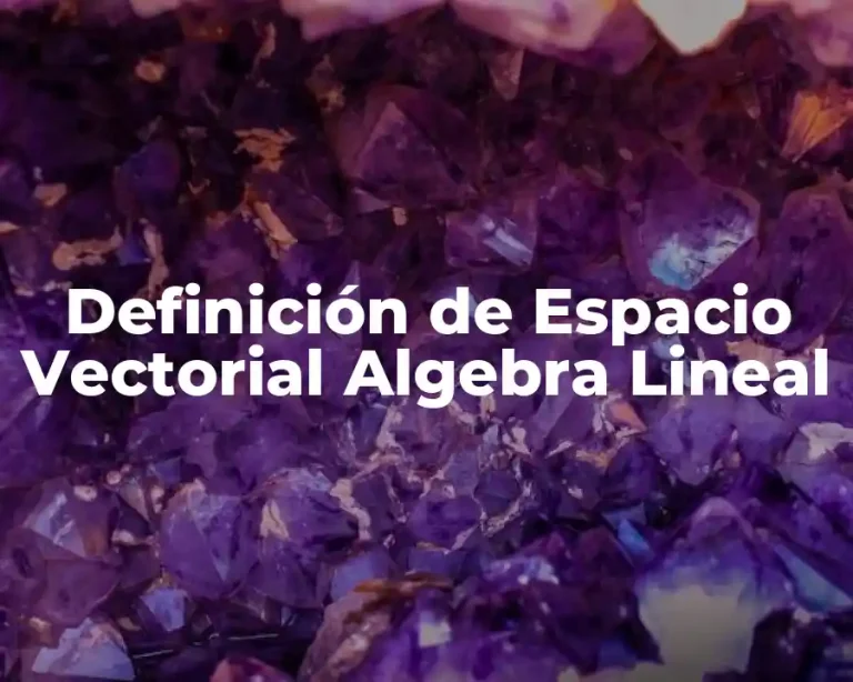 Definición de Espacio Vectorial Algebra Lineal