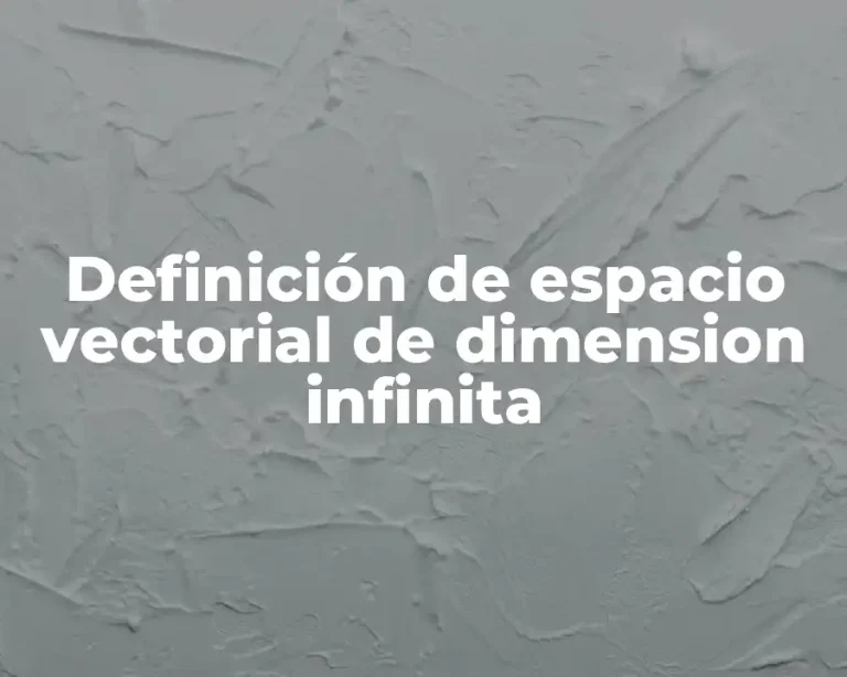 Definición de espacio vectorial de dimension infinita