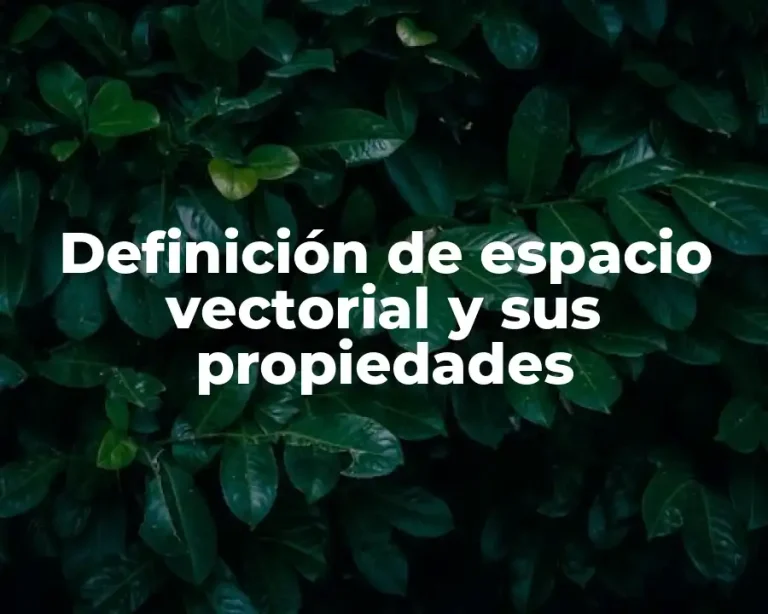 Definición de espacio vectorial y sus propiedades