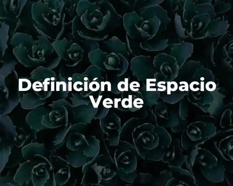 Definición de Espacio Verde