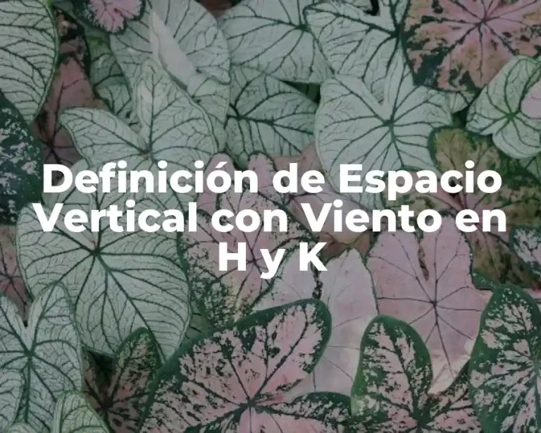 Definición de Espacio Vertical con Viento en H y K