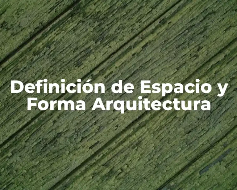 Definición de Espacio y Forma Arquitectura