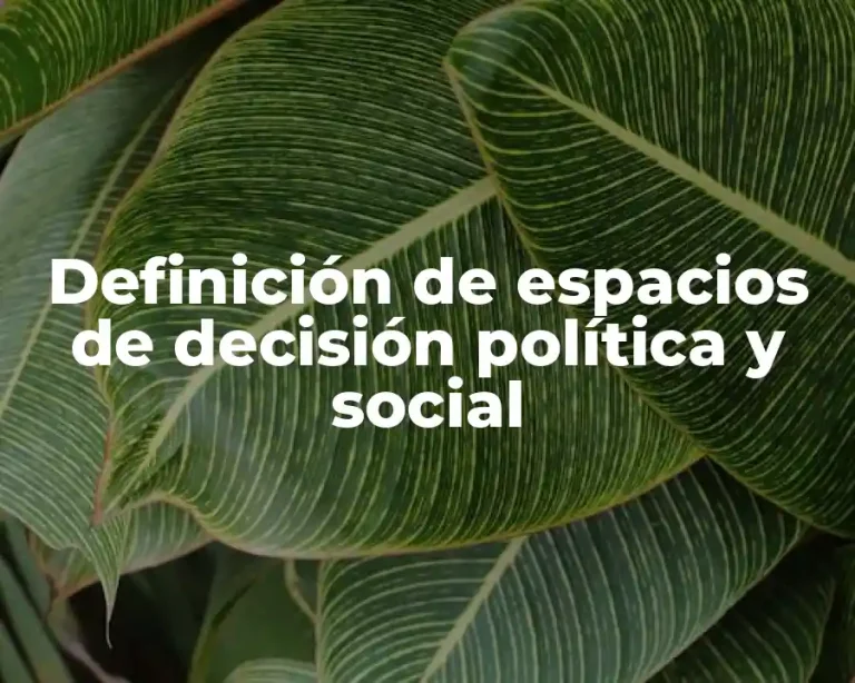 Definición de espacios de decisión política y social