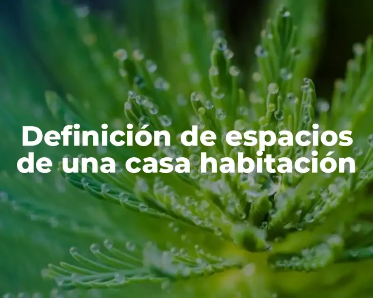 Definición de espacios de una casa habitación
