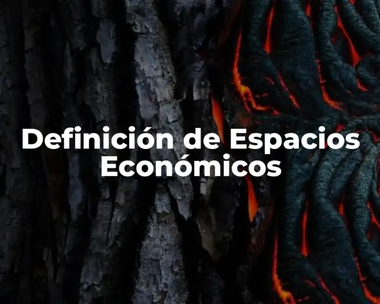 Definición de Espacios Económicos