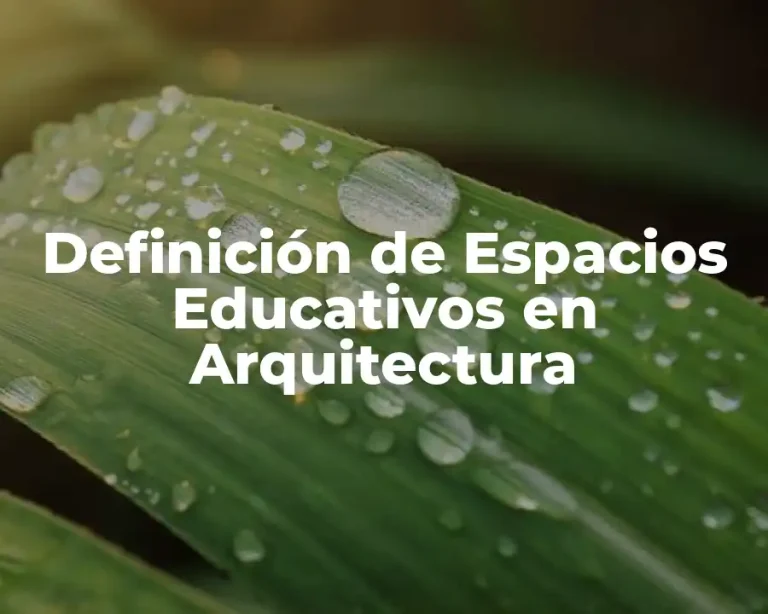 Definición de Espacios Educativos en Arquitectura