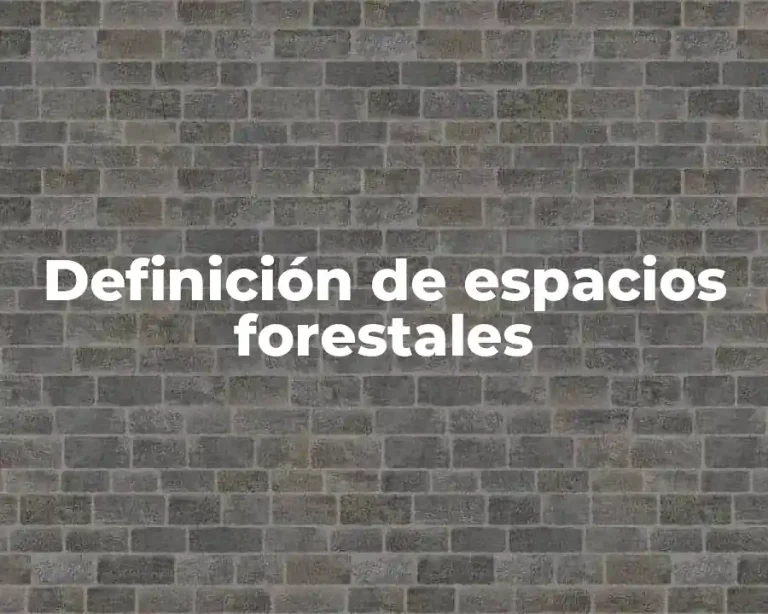 Definición de espacios forestales