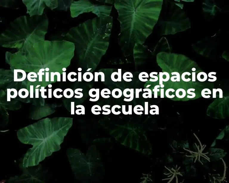 Definición de espacios políticos geográficos en la escuela