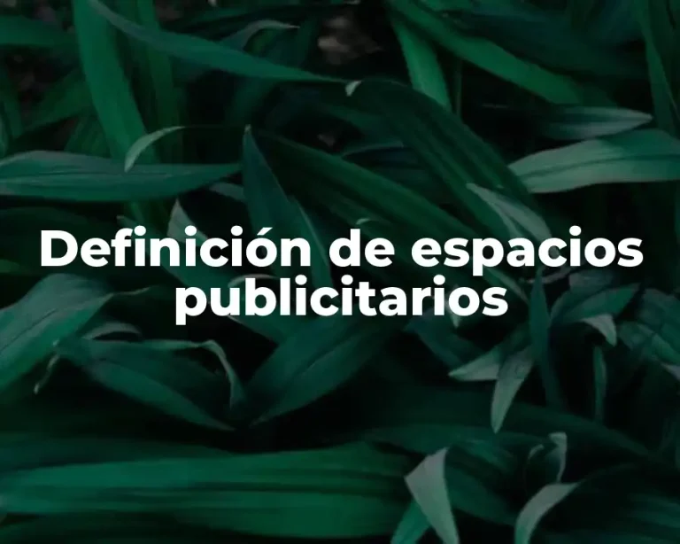 Definición de espacios publicitarios
