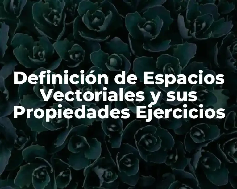 Definición de Espacios Vectoriales y sus Propiedades Ejercicios