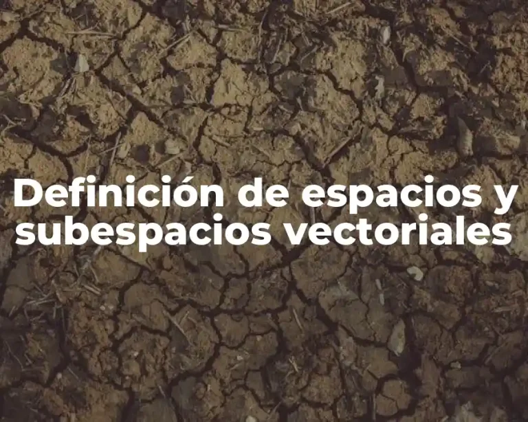 Definición de espacios y subespacios vectoriales