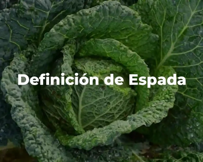 Definición de Espada