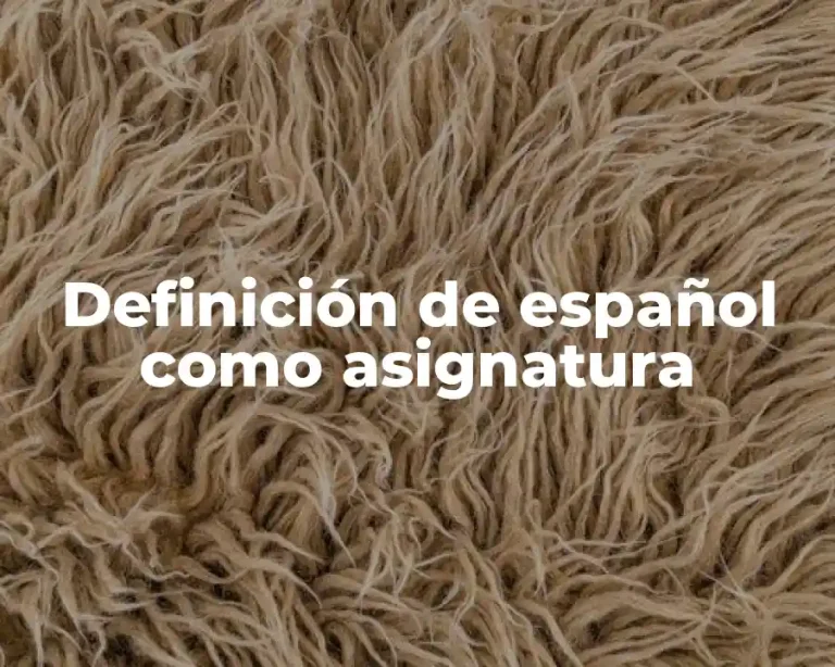 Definición de español como asignatura