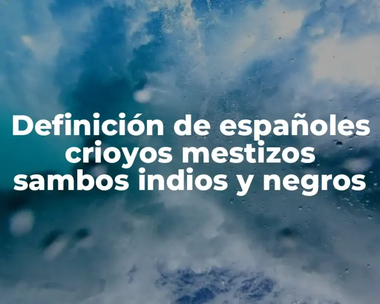 Definición de españoles crioyos mestizos sambos indios y negros